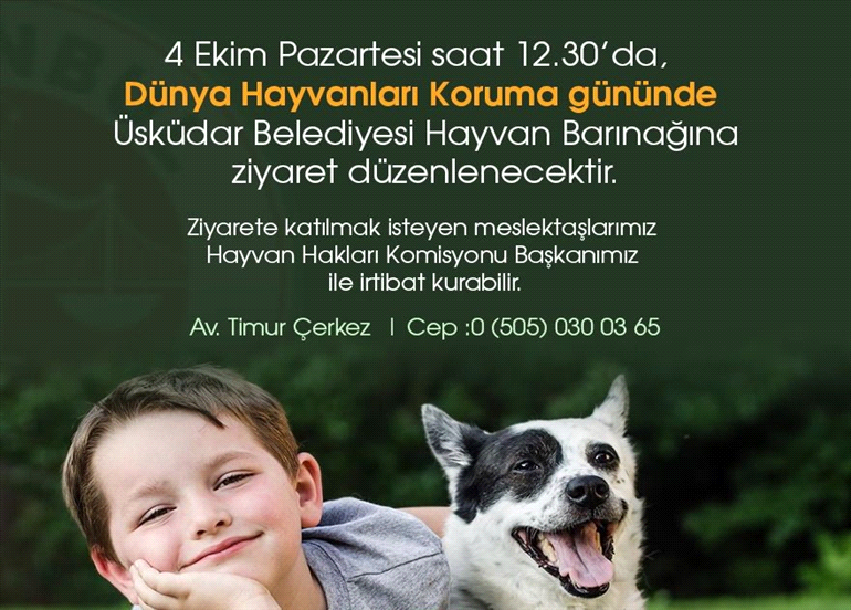 BAROMUZ ÜSKÜDAR HAYVAN BARINAĞINA GİDİYOR